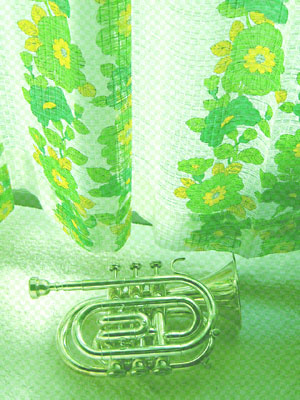 0603cornet.jpg